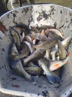 WhatsApp Image 2026-04-02 at 18.36.45.jpeg